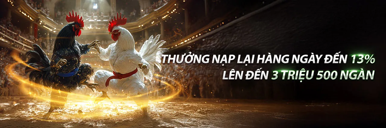 Đá Gà Thomo C3 Ngày 14 Tháng 2